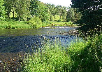River Image 3