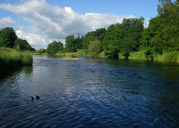 River Image 4